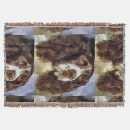 English Springer Spanisch Art Decke