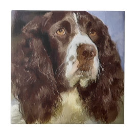 English Springer Spanisch Art Fliese