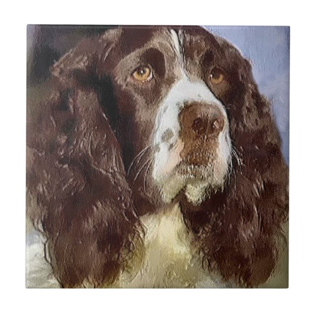 English Springer Spanisch Art Fliese (Vorderseite)