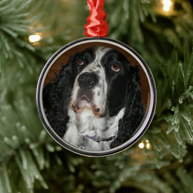 English Springer Spanisch Personalisiert Pet Foto Ornament Aus Metall (Baum)