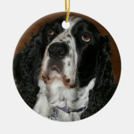 English Springer Spanisch Personalisiert Pet Foto Ornament Aus Metall