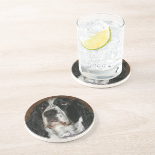 English Springer Spanisch Pet Foto Sandstone Getränkeuntersetzer