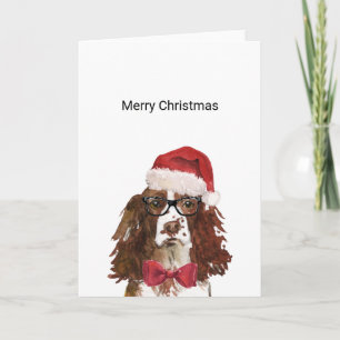 English Springer Spanisch Weihnachtskarte Karte
