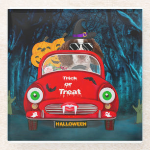 English Springer Spanischer Hund Car Beängstigend  Glasuntersetzer