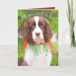 English Springer Spanish Weihnachtskarten Feiertagskarte