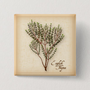 English Thyme Herb Button