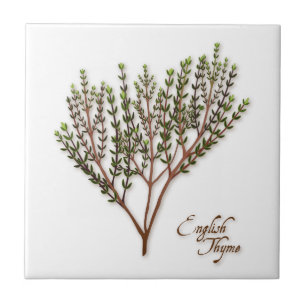 English Thyme Herb Keramik Tile Fliese