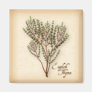 English Thyme Herb Magnet