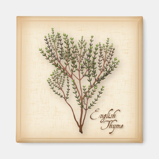 English Thyme Herb Magnet (Vorne)