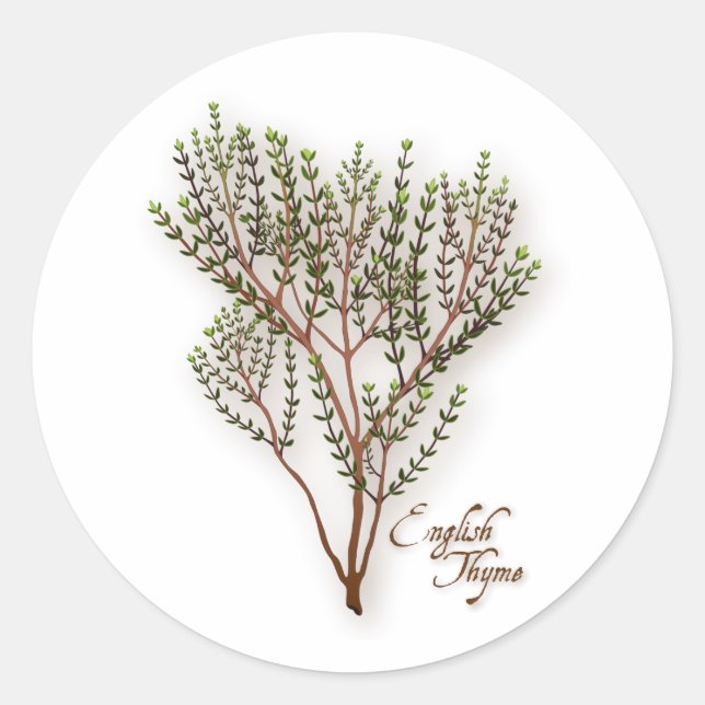 English Thyme Round Sticker (Vorderseite)