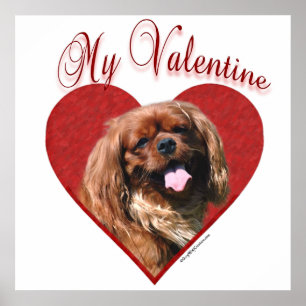 English Toy Spaniel My Valentine Poster