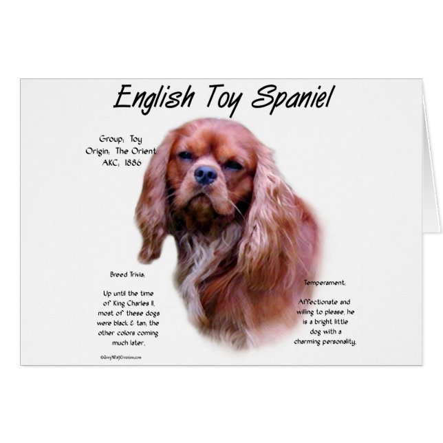 English Toy Spaniel (ruby) History Design (Vorderseite (Horizontal))