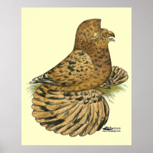 English Trumpeter Almond Poster