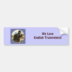 English Trumpeter Pigeon Blue Frame Autoaufkleber