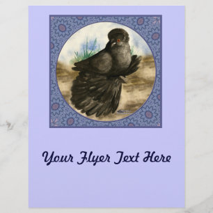 English Trumpeter Pigeon Blue Frame Flyer