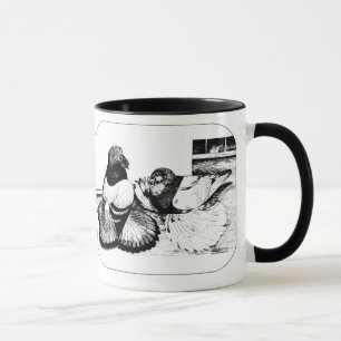 English Trumpeter Pigeons Tasse