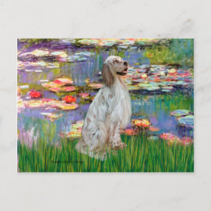 EnglishSetter 1 - Lilies 2 Postkarte