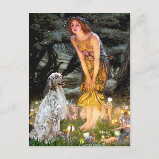 EnglishSetter 1 - MidEve Postkarte (Vorderseite)