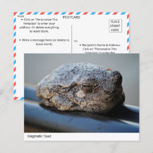 Enigmatischer Toad Postkarte