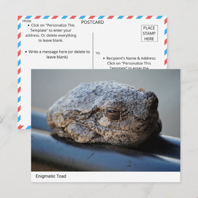 Enigmatischer Toad Postkarte (Vorne/Hinten)