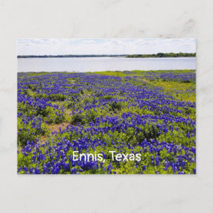 Ennis Bluebonnets von Lake Bardwell Postcard Postkarte