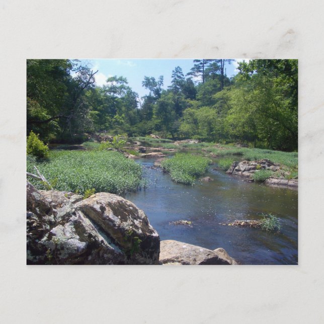 Eno River, North Carolina Postkarte (Vorderseite)