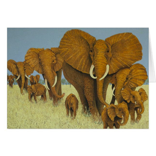 Enorm aber kümmerte sich (Vorderseite (Horizontal))