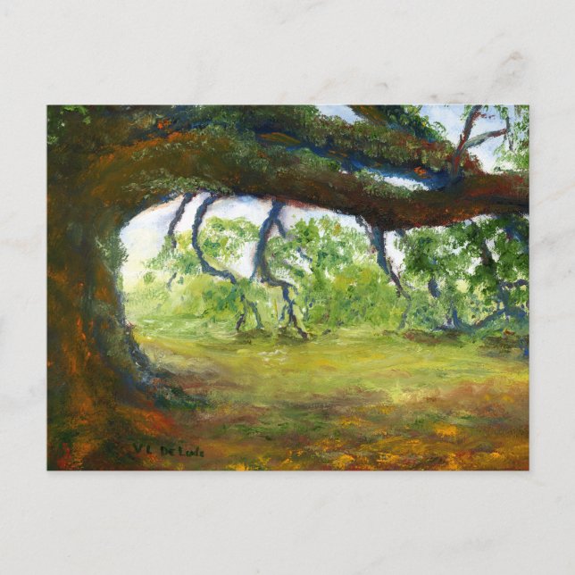 Enorme alte Louisiana-Eiche Postkarte (Vorderseite)