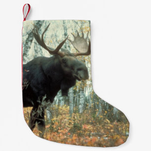 Enorme Elche Kleiner Weihnachtsstrumpf