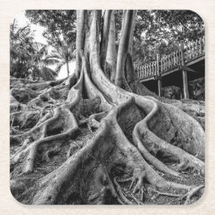 Enorme Gummibaumwurzeln Rechteckiger Pappuntersetzer