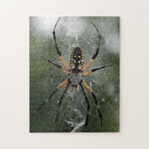 Enorme Spinne/Gelbu. SchwarzesArgiope Puzzle
