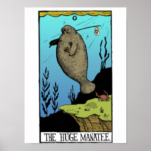 Enormes Manatisplakat Poster