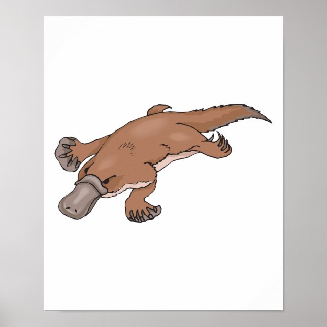 entbeinte Platypus Poster (Vorne)