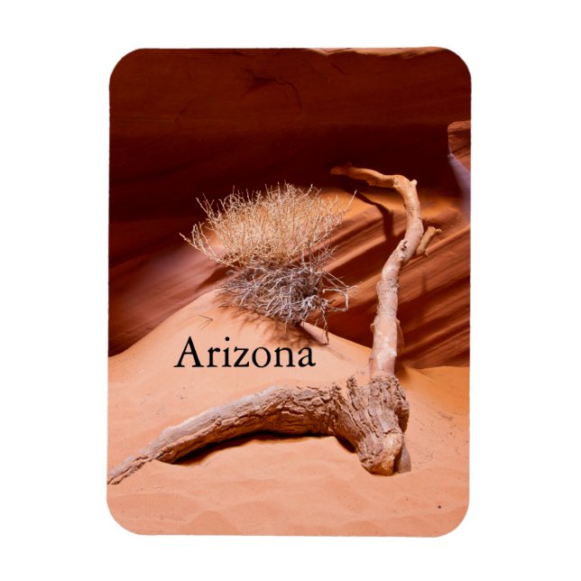 Entdecken Sie Arizona Magnet (Vertikal)