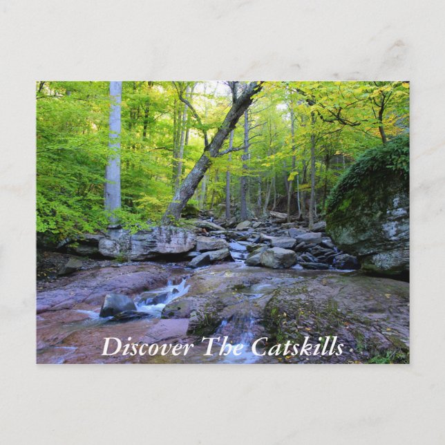 Entdecken Sie die Catskills 5 Postkarte (Vorderseite)