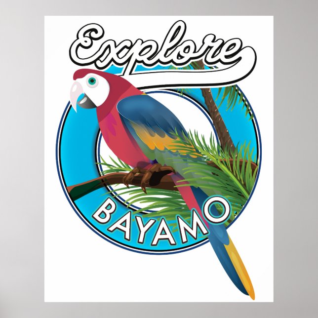 Entdecken Sie Hawaii Retro Logo Poster (Vorne)