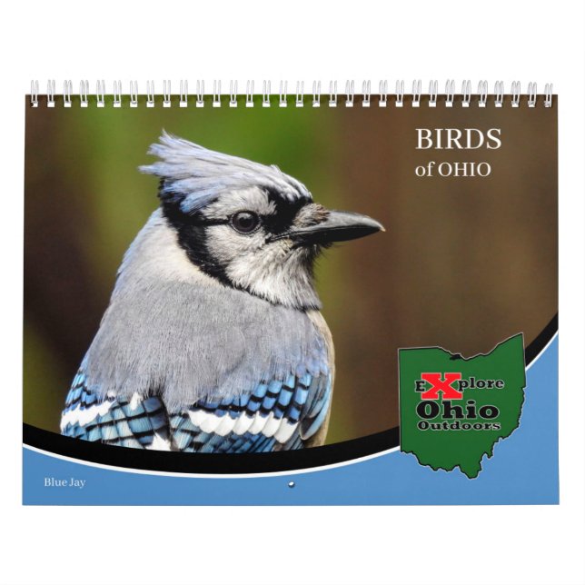 Entdecken Sie Ohio Outdoor Birds of Ohio Calendar Kalender (Titelbild)