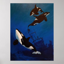 "Entdeckungen" Orca und Wracks