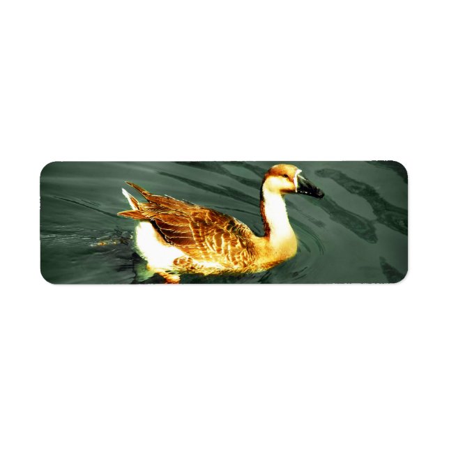Ente (Vorne)