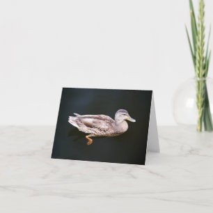 Ente 907b karte