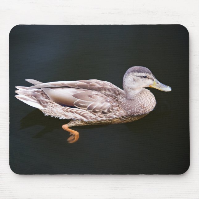 Ente 907b mousepad (Vorne)