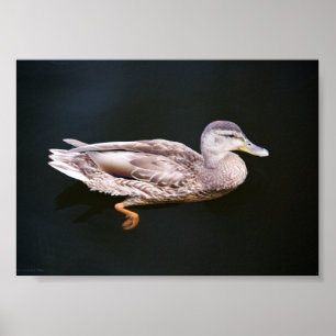 Ente 907b poster
