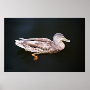 Ente 907b poster