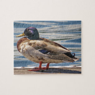Ente am Meer Puzzle