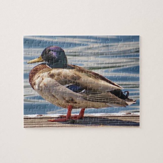 Ente am Meer Puzzle (Horizontal)