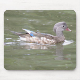 Ente am Mousepad-See Mousepad