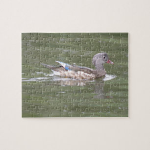 Ente am Puzzle-See Puzzle