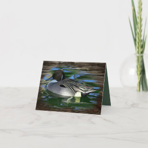 Ente am See