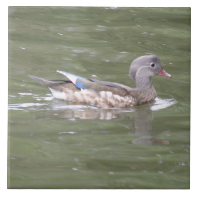 Ente am Tilersee Fliese (Vorderseite)