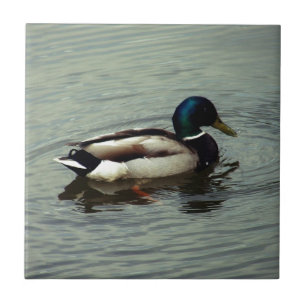 Ente am Wasser Fliese